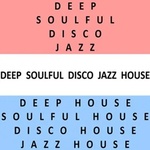 Deep Soulful Disco Jazz House Radio Logo