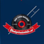 OudePiratenHits.nl Logo