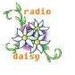 Radio Daisy Logo