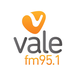 Rádio Vale 95.1 FM Logo