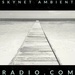 Skynet Ambient Radio Logo