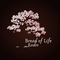 Bread Of Life Radio Logo