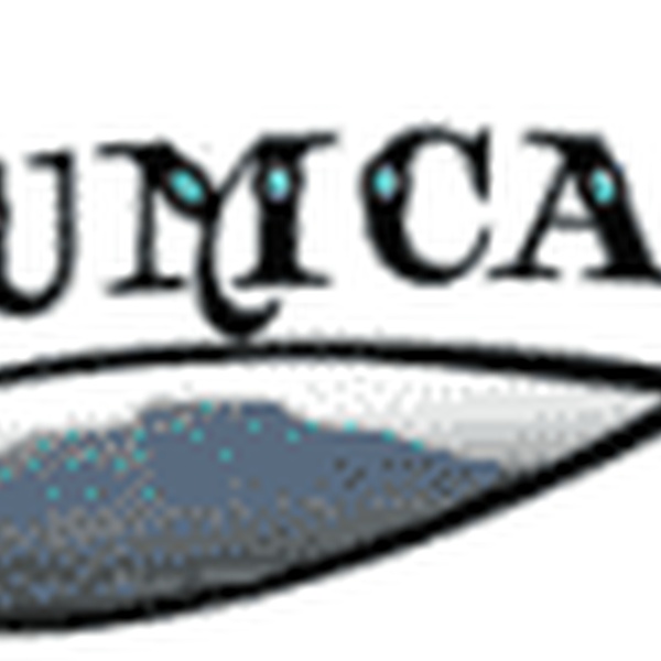 Tucumcari Fire and EMS VHF Quay, NM