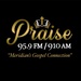 Praise 95.9 FM & 910 AM - WMOG Logo