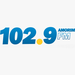 Rádio Amorim 102.9 FM Logo