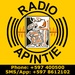 Apintie Radio Logo