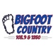 Bigfoot Country 96.1 & 103.9 - WBRM Logo