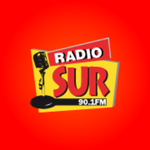 Radio Sur Logo