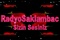 Radyo Saklambaç Logo