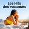 NRJ - Les Hits Des Vacances Logo