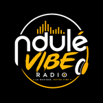Ndulé vibe Logo