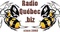 Radionostalgie.ca Logo