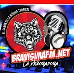 Bravisima Fm Logo