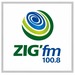 ZIG FM 100.8 Logo