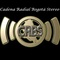 CRBS - Crossover Logo