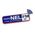 Radio Nel FM Logo
