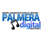 Palmera Digital Logo