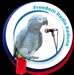 Freedom Radio Kaduna Logo