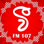 VFM Radio Logo