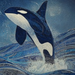 Orca.fm Logo
