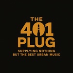 The 401 Plug Logo