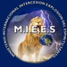 Radio Oficial M.I.E.E.S Logo