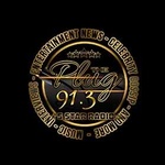 91.3 The Plug Radio Logo