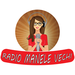 Radio Manele Vechi Logo