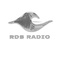 RDS RADIO Logo