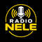 Radio Nele Logo