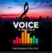 Voice FM 1105 Logo