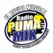 Radio Puma Mix Logo