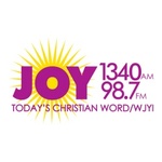 Joy 1340 - W254CU