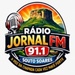 Rádio Jornal 91.1 FM Logo