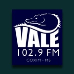 Vale 102 FM Logo