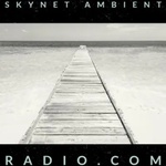 Skynet Ambient Radio Logo