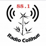 Radio Colihue 88.1 Logo