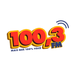 Rádio 100.3 Logo