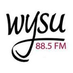 WYSU Main Channel - W201DP Logo