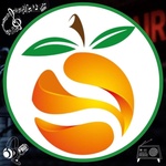 Rádio Naranjaty 103.3 FM Logo