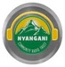Nyangani Community Radio Station Logo