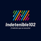 Indetenible102 Logo