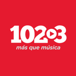 102.3 FM  Logo