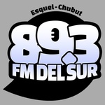 FM Del Sur 89.3 Logo