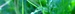 ROFL Radio Logo