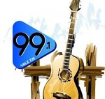 Radio Vale Fm 99.1 Logo