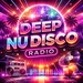 HearMe.fm - Deep Nu Disco Logo
