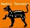 Radio Teocelo - XEYTM Logo