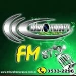 Rádio Tribus FM Logo