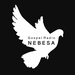 Gospel Radio Nebesa  Logo